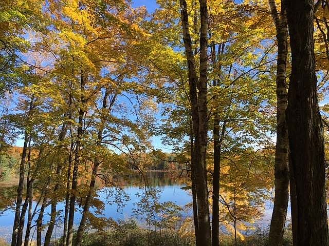 1st image of On Lynx Lake Rd