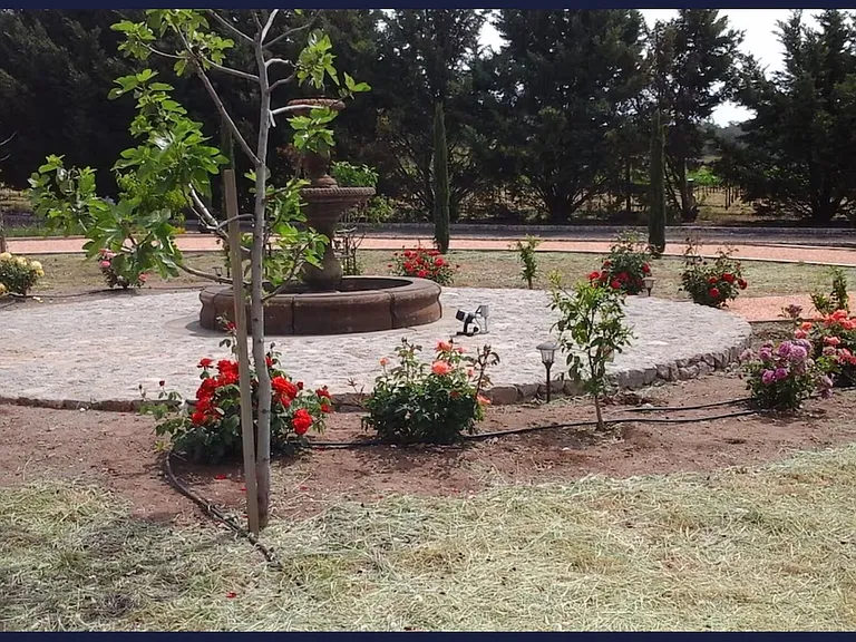 7640 Butts Canyon Rd — Photo 42