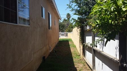 Side  view