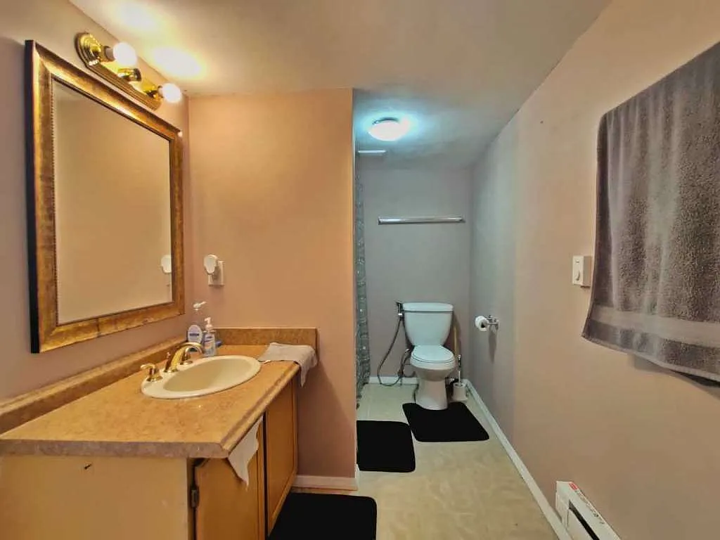 1 bed, 550 sqft, $1,900 — Photo 4