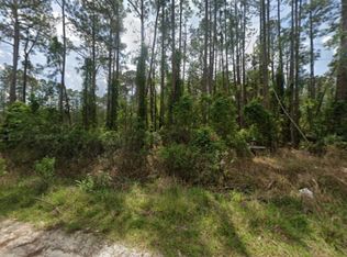105 Pine Cone Dr, Georgetown, FL 32139