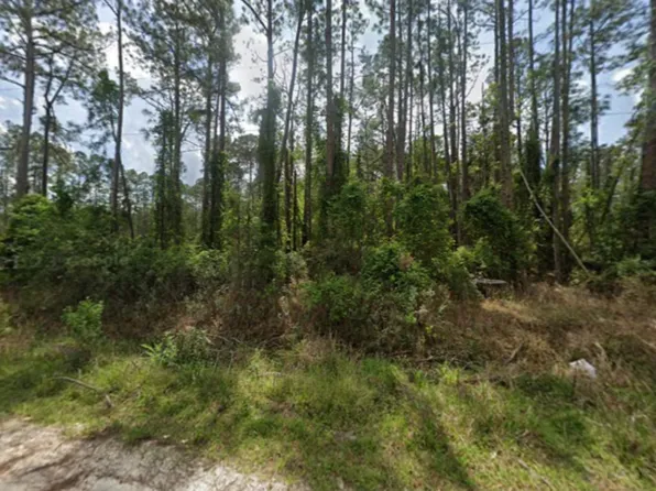 105 Pine Cone Dr, Georgetown, FL 32139