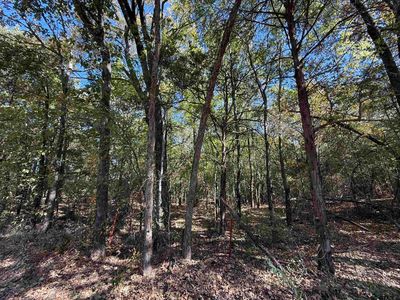 0 County Road 1412, Van, TX, 75790