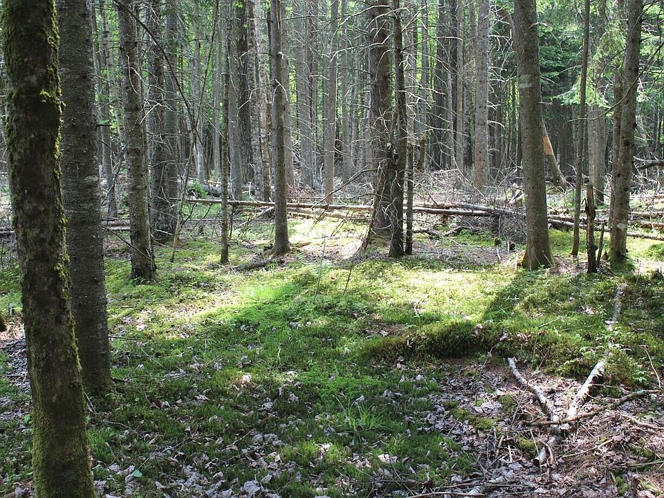 2nd image of 124 Fred Gay Rd