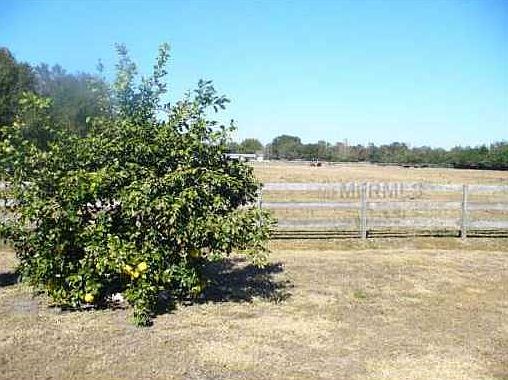 5th image of 10426 Goshawk Dr