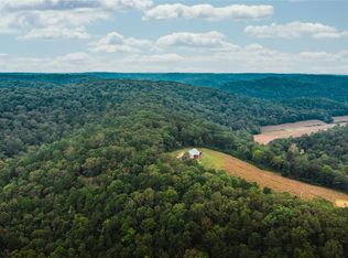 32315 County Road 325, Ink, MO 65466