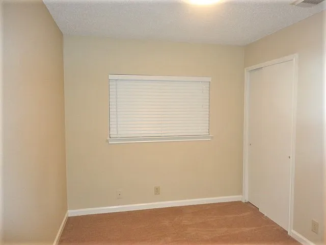 4914 Dovefield Dr — Photo 9