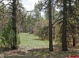 2399 Bull Elk Place, Pagosa Springs, CO 81147