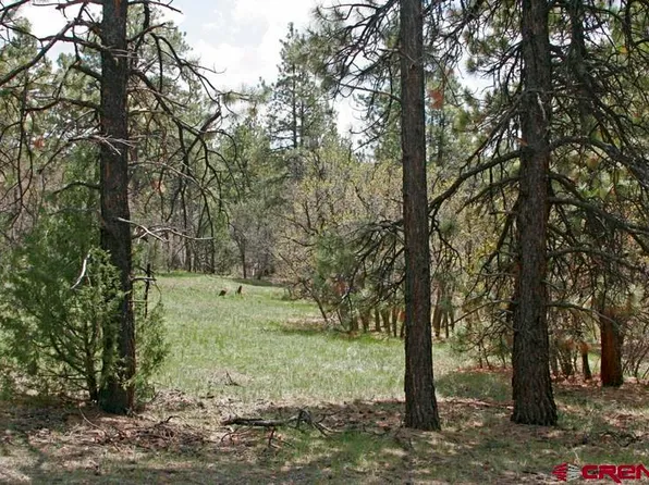 2399 Bull Elk Place, Pagosa Springs, CO 81147