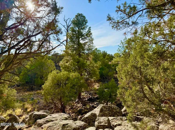 1838 Rocky Bottom Pl, Show Low, AZ 85901