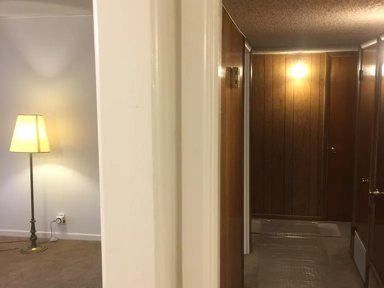 558 Artemis Dr — Photo 10