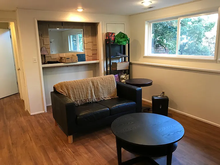 Downstairs Living Room