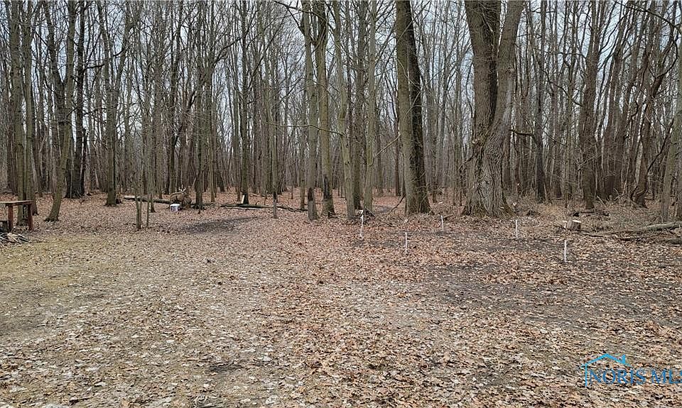 2nd image of 10999 Angola Rd