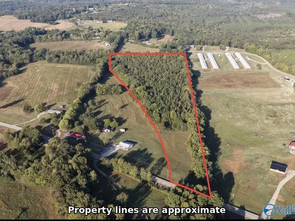 State Highway 101, Town Creek, AL 35672