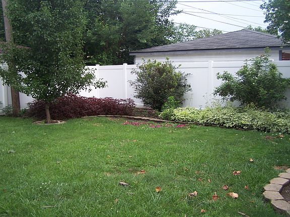 view of back yard