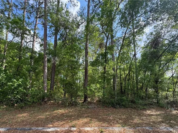 6576 E Gurley St, Inverness, FL 34452