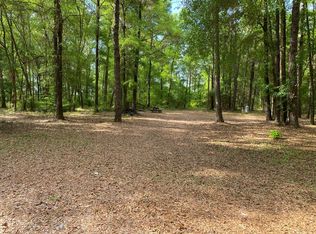 L57 NE Laurie Ln, Mayo, FL 32066