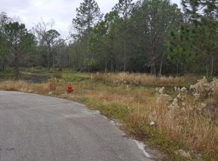4100 Coyote Trl, Polk City, FL 33868