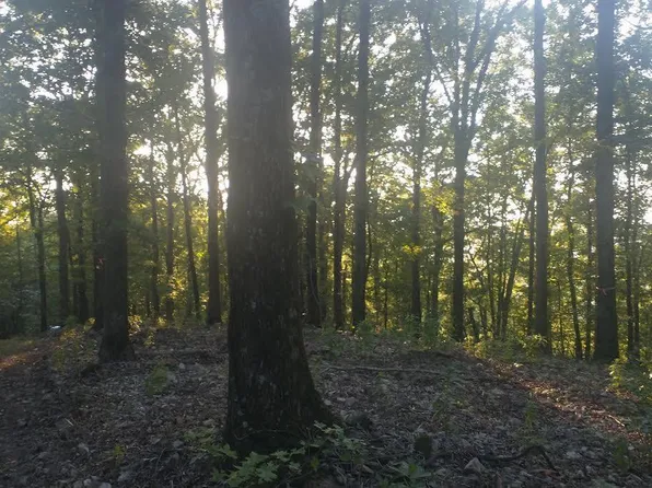 Burnham Mountai East Hwy E #8, Glenwood, AR 71943