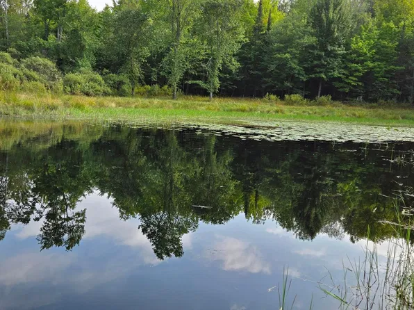 39+\- Ac MEADOW LN, Presque Isle Town, WI 54557