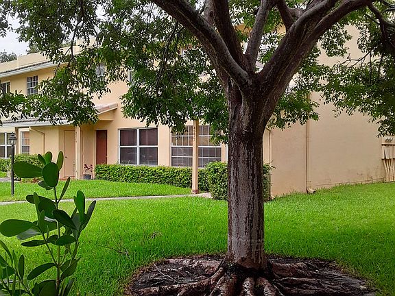 other side of front yard behind tall hedge