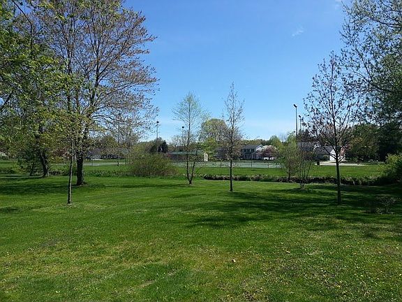 4 Red Oaks, 2 Birches