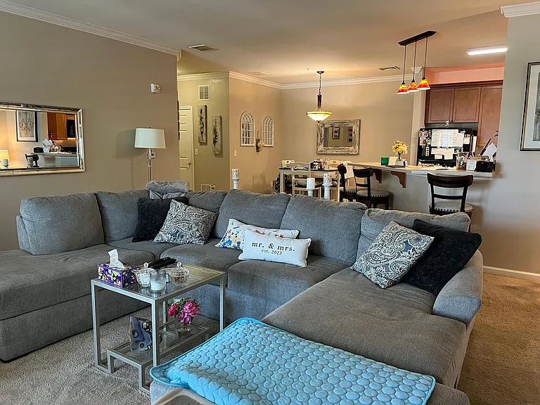 313 Mill Pond Way — Photo 4