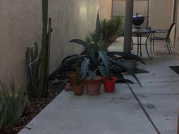 5th image of 2435 N Silver Mosaic Dr