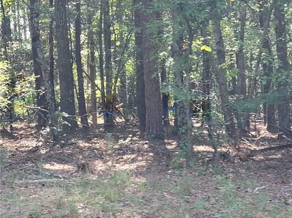 0 Youngs Mill Rd #1, Kingston, GA 30145