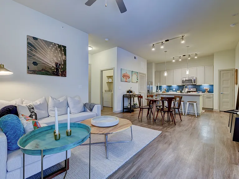 Agave — Photo 7