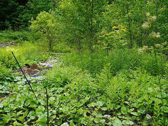 5th image of Lot 46.2 Ridge Road