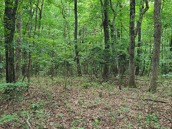 4th image of 333 Timberwood Trce Lot 333