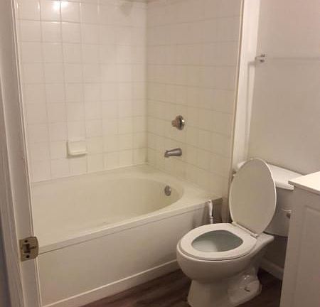 5th image of 4799 Via Palm Lks APT 1608