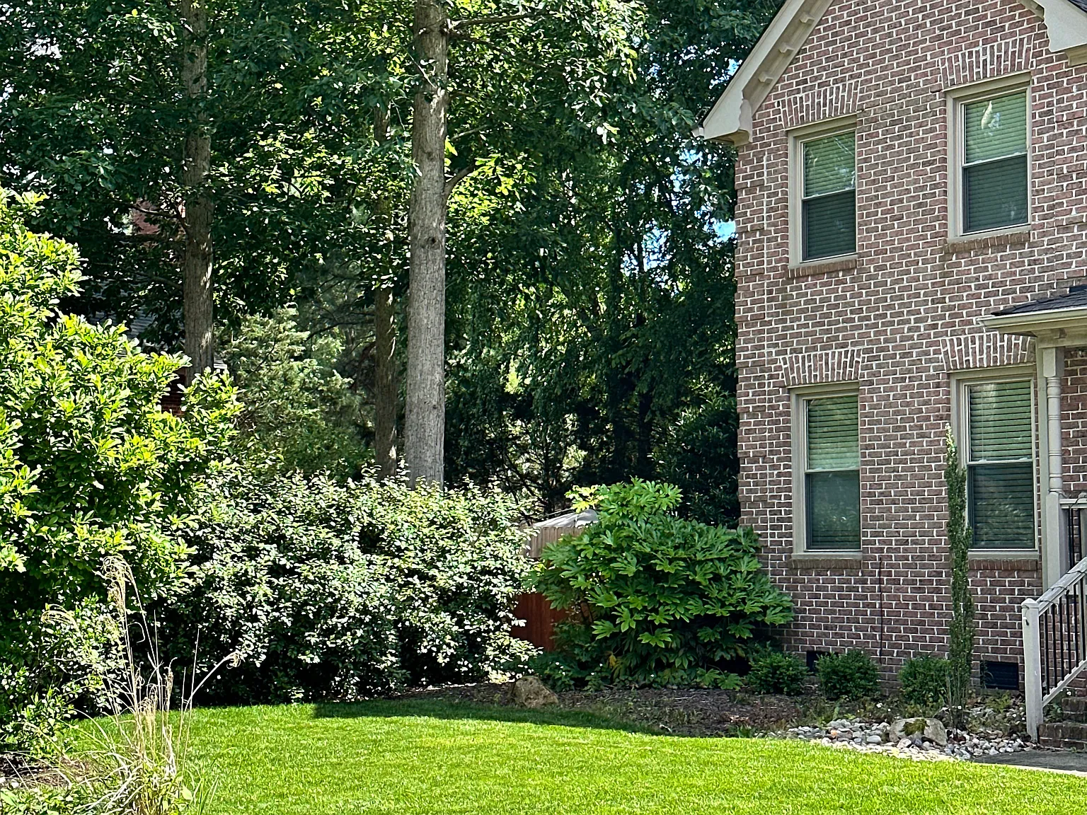 5 bed, 3265 sqft, $4,500 — Photo 4