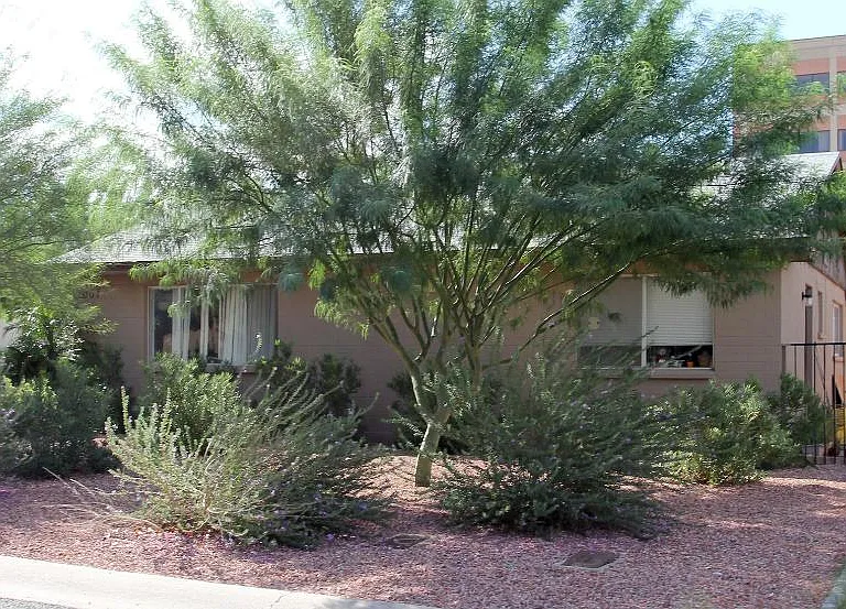 2007 W Berridge Ln — Photo 21