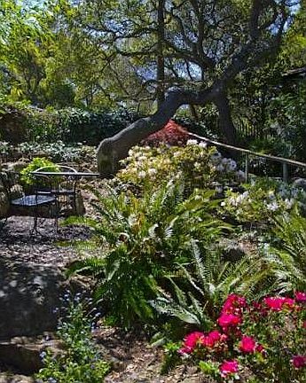 Front Garden