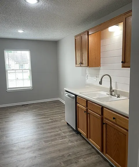View of kitchen with ship lap backsplash and new stainless dishwasher