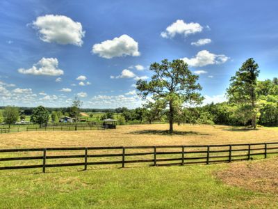 9965 NW 60th Ave, Ocala, FL, 34482