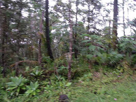 2nd image of 14-3449 Shell Rd #980