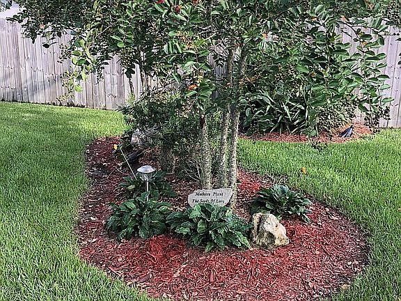 5th image of 92 Green Palm Ct