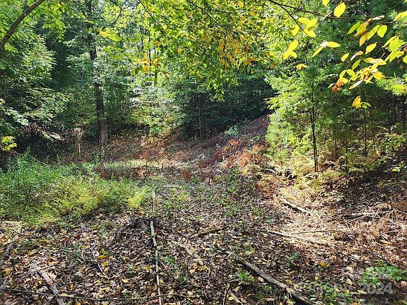3rd image of 0 Arrowhead Ln #16