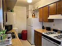 1 bed, 1.0 bath, 602 sqft, $850 — Photo 3