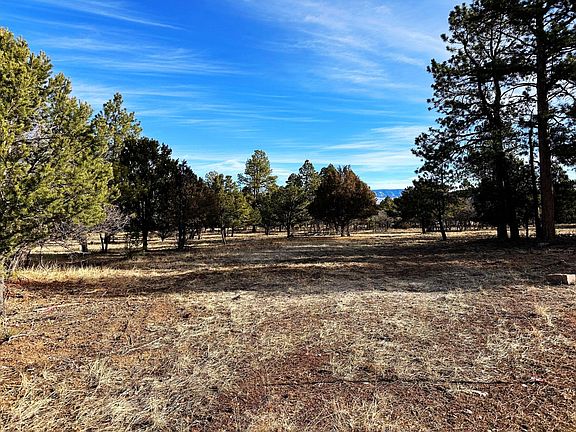4th image of 120 Puma Ln Lot 262