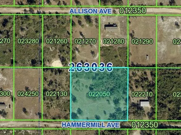 HAMMERMILL AVENUE, LAKE WALES, FL 33859