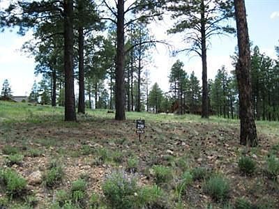 2nd image of 1951 E Bare Oak Loop
