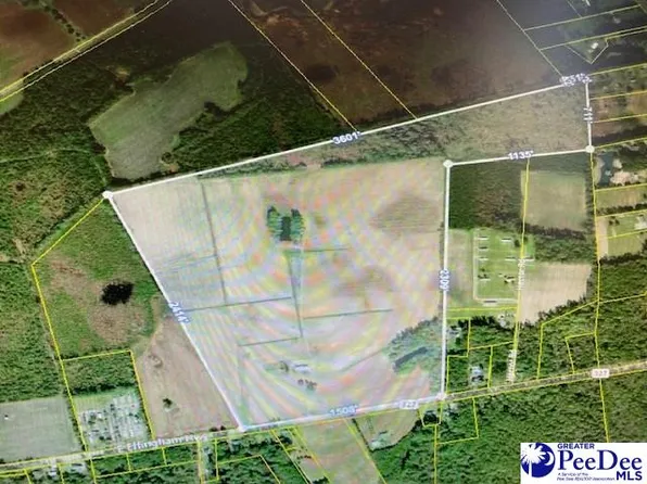 2417 E Effingham Hwy, Effingham, SC 29541