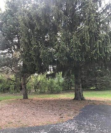 2nd image of 13509 S Red Coat Dr