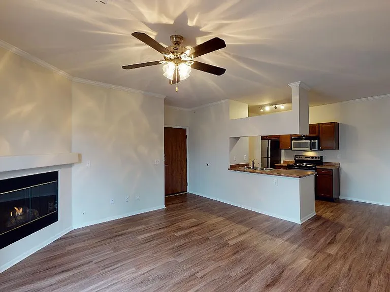 Apartment kitchen and living room with wood-style flooring.
