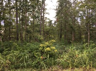 0 Deep Cut Rd LOT 8, Erin, TN 37061