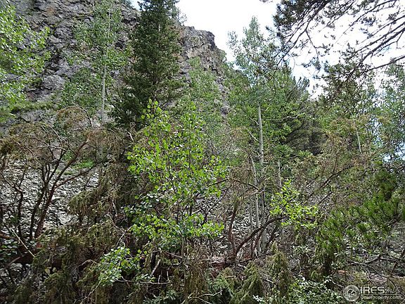 2nd image of 47519 Peak To Peak Hwy